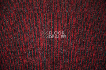 Condor Carpets Solid Stripes 120 фото 2 | FLOORDEALER